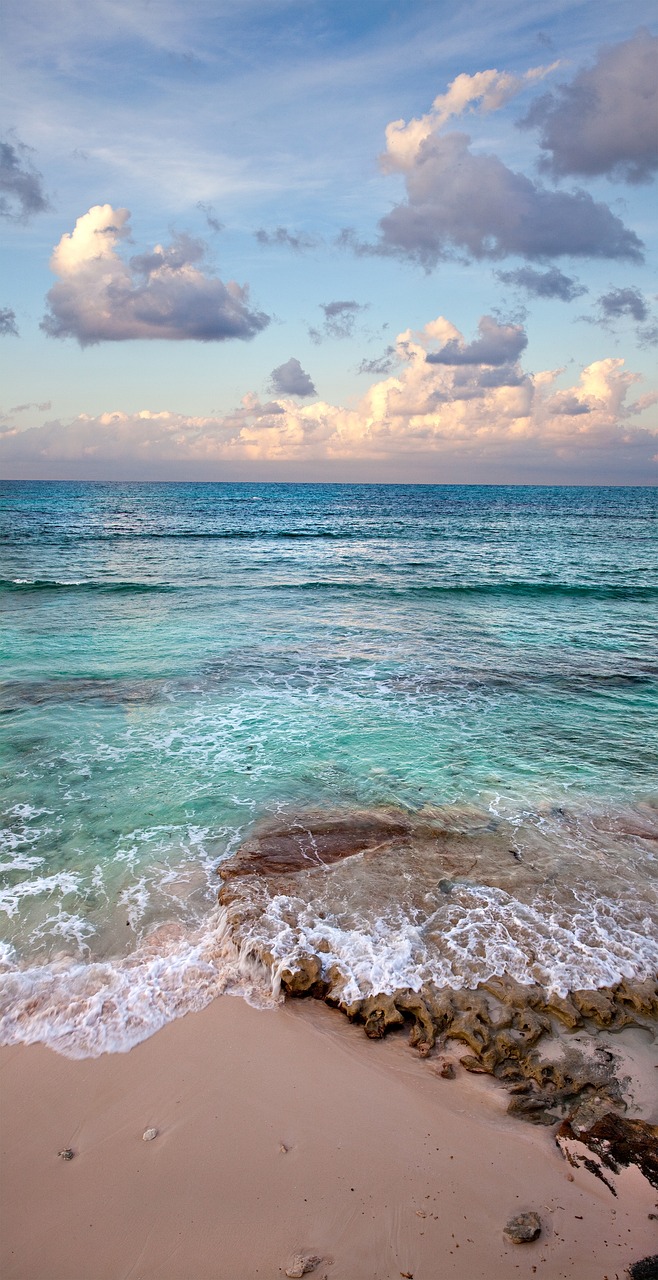 Quand les îles paradisiaques de Guadeloupe, des Maldives et des Seychelles se transforment en dépotoirs océaniques
